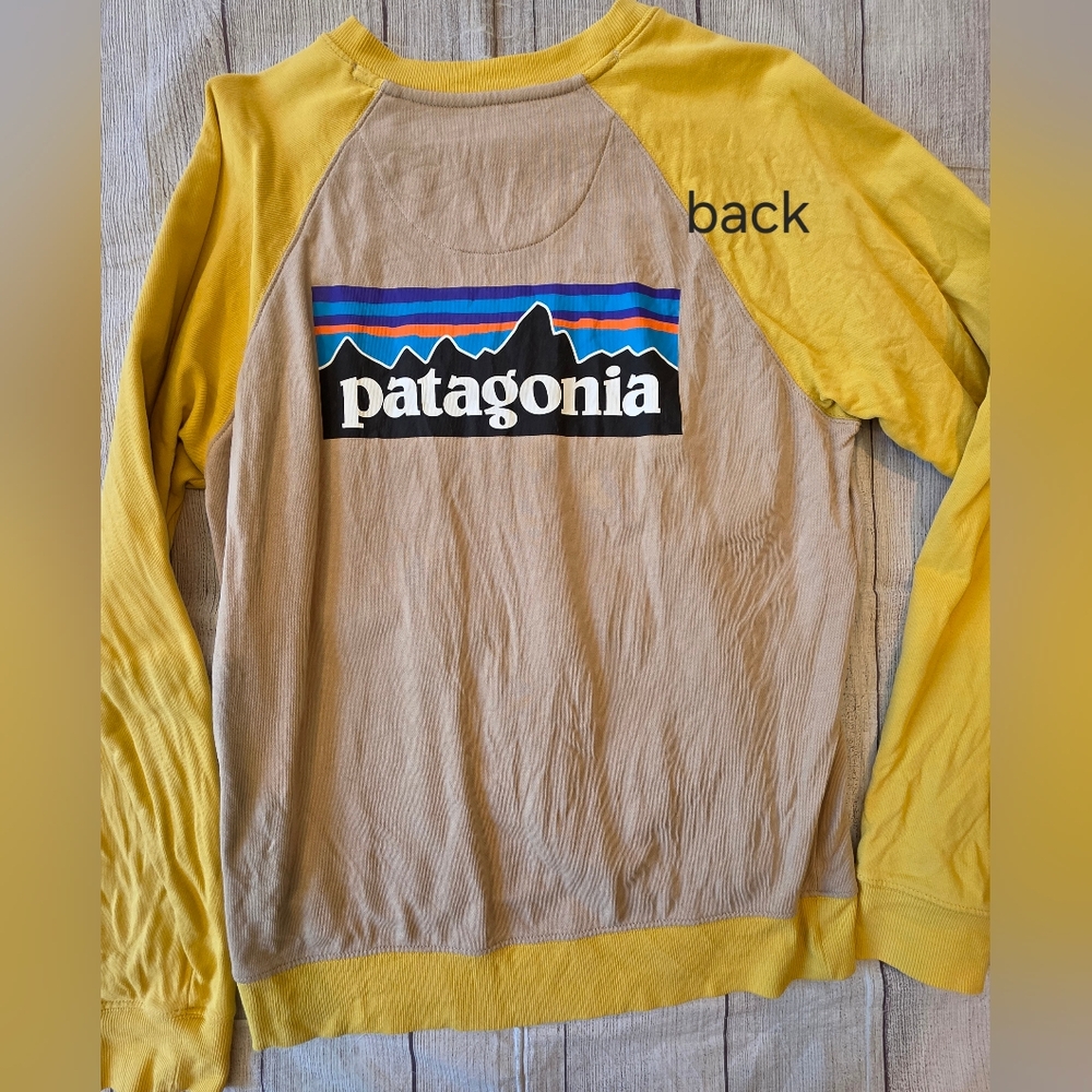 Patagonia Men's Size Small Two Tone Crewneck Sweatshirt Organic Cotton Logo - Picture 2 of 7